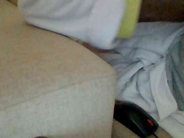 Dollie webcam