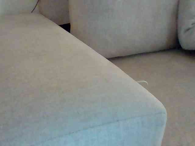Dollie webcam