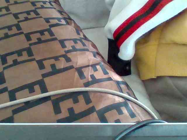 Dollie webcam