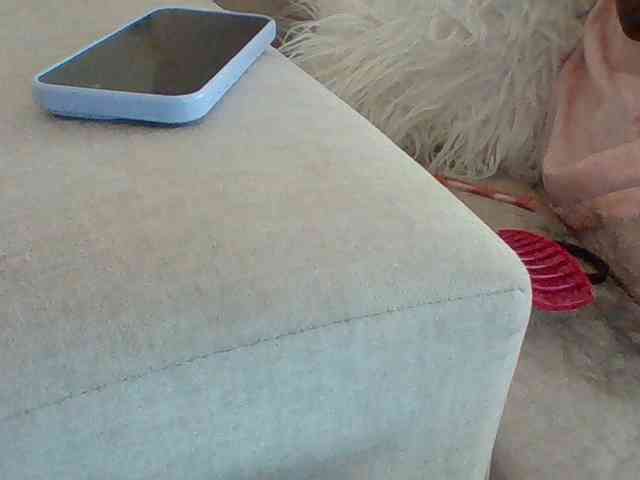 Dollie webcam