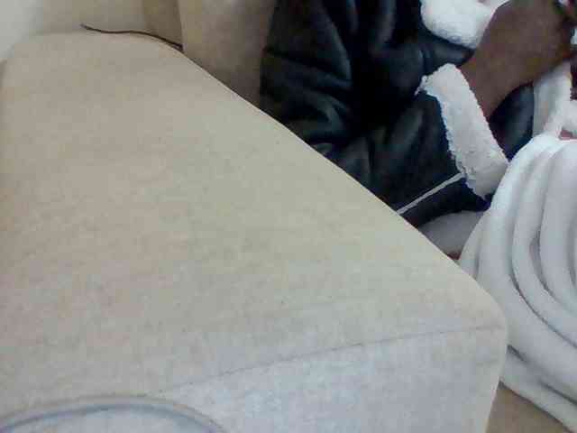 Dollie webcam