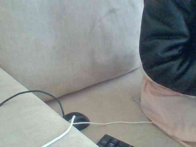 Dollie webcam