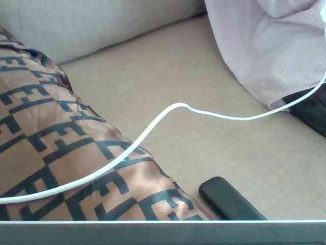 Dollie webcam