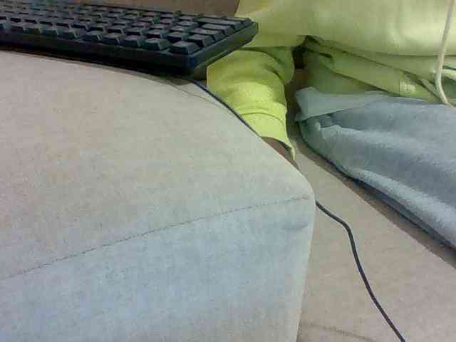 Dollie webcam