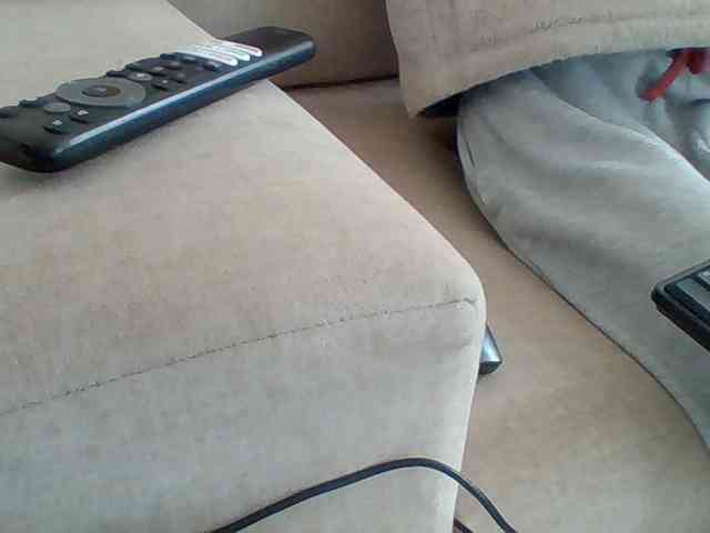 Dollie webcam