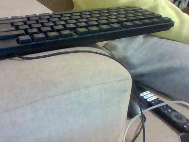 Dollie webcam