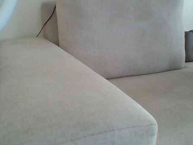 Dollie webcam