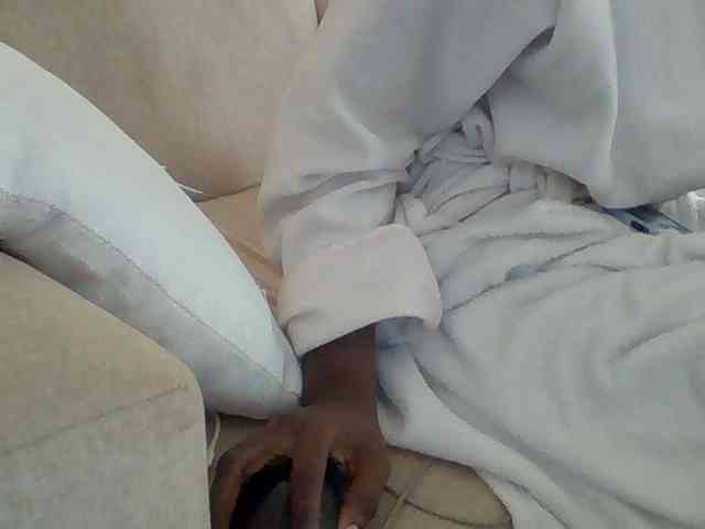 Dollie webcam