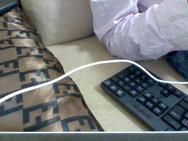 Dollie webcam