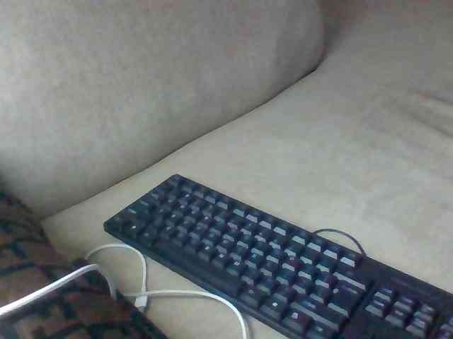 Dollie webcam