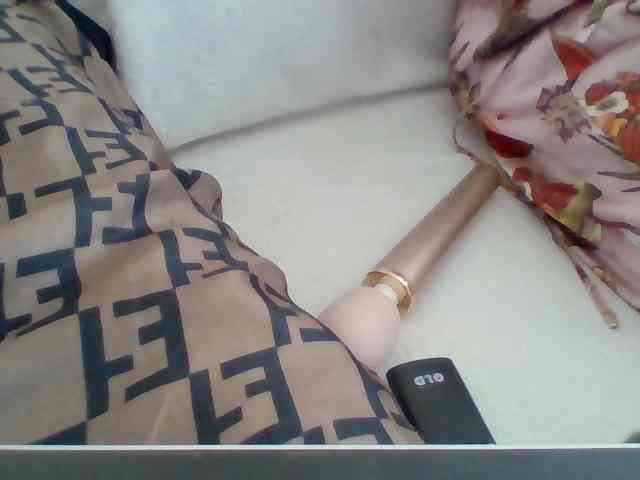 Dollie webcam