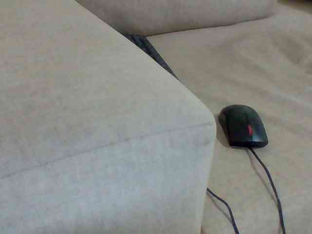 Dollie webcam