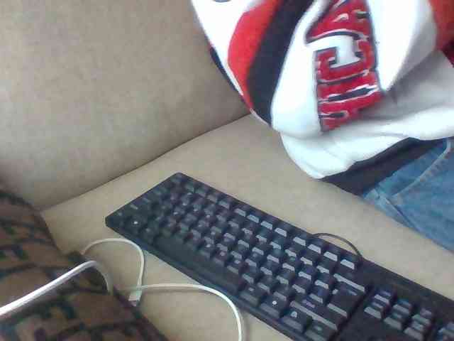 Dollie webcam