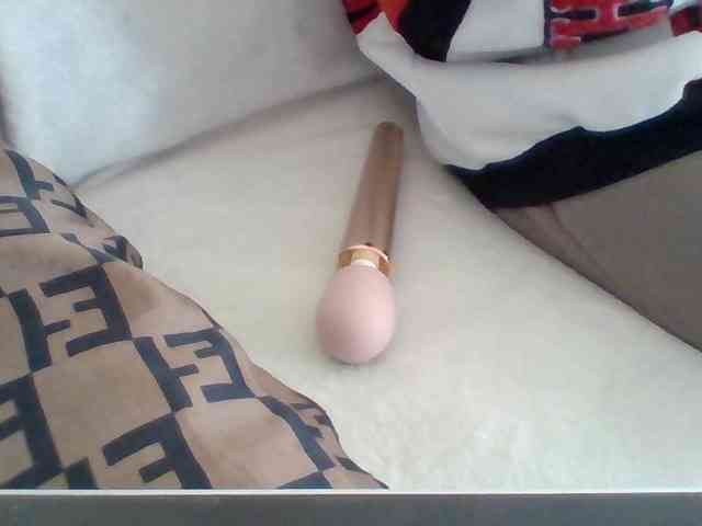 Dollie webcam