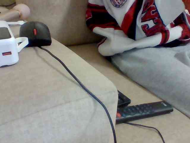 Dollie webcam