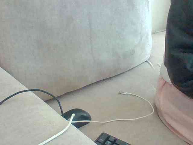 Dollie webcam