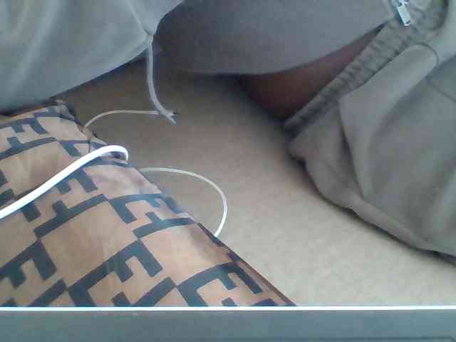 Dollie webcam