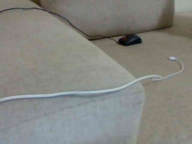 Dollie webcam