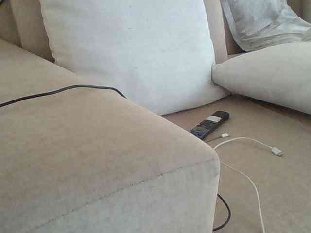 Dollie webcam