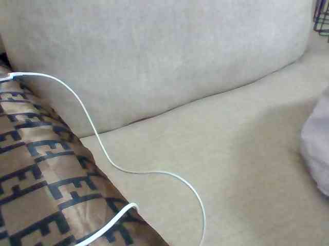 Dollie webcam