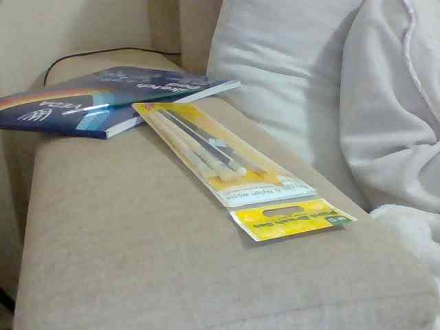 Dollie webcam