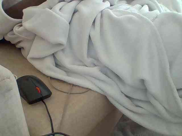 Dollie webcam