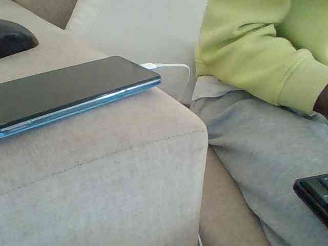 Dollie webcam