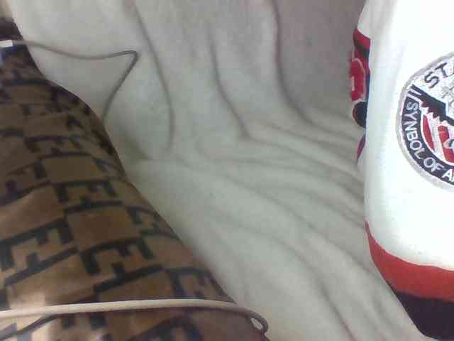 Dollie webcam