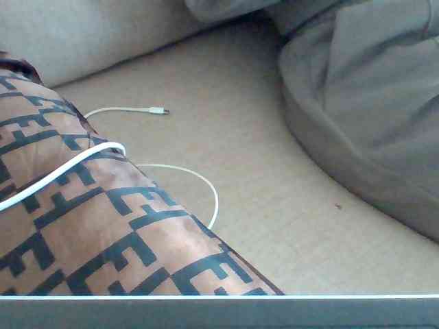 Dollie webcam