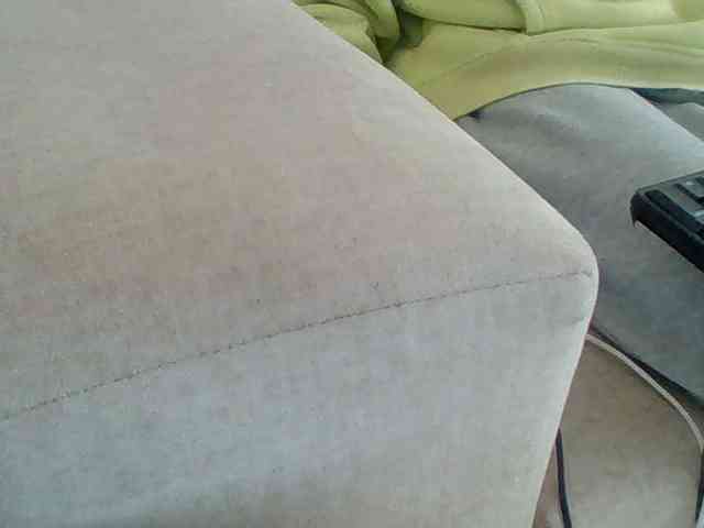Dollie webcam
