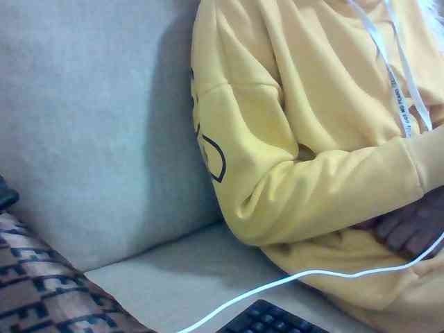 Dollie webcam
