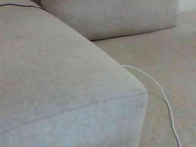 Dollie webcam