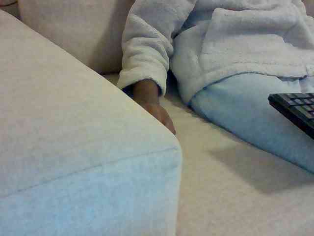Dollie webcam