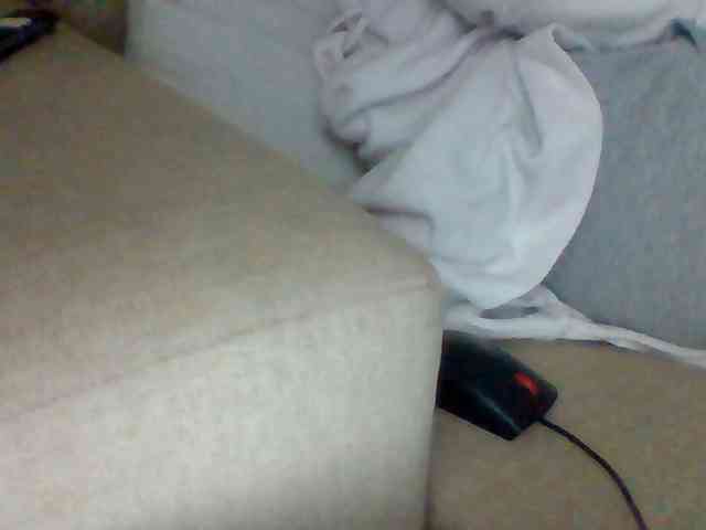 Dollie webcam