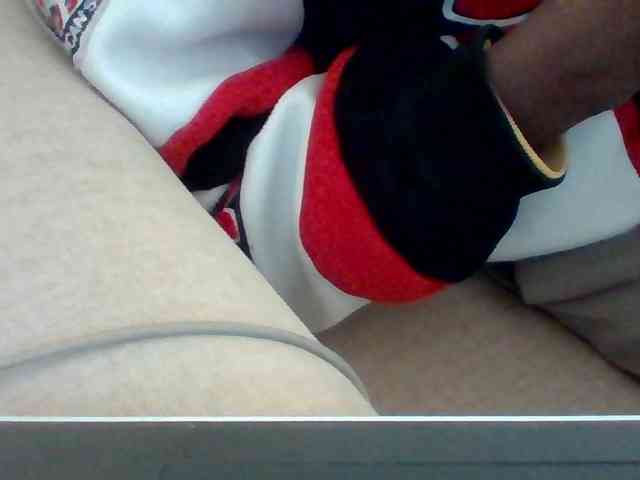 Dollie webcam