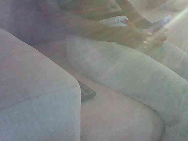 Dollie webcam