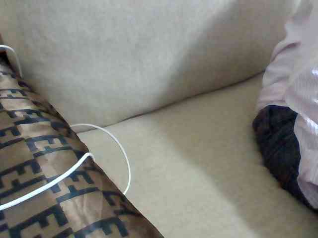 Dollie webcam