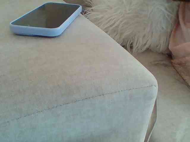 Dollie webcam