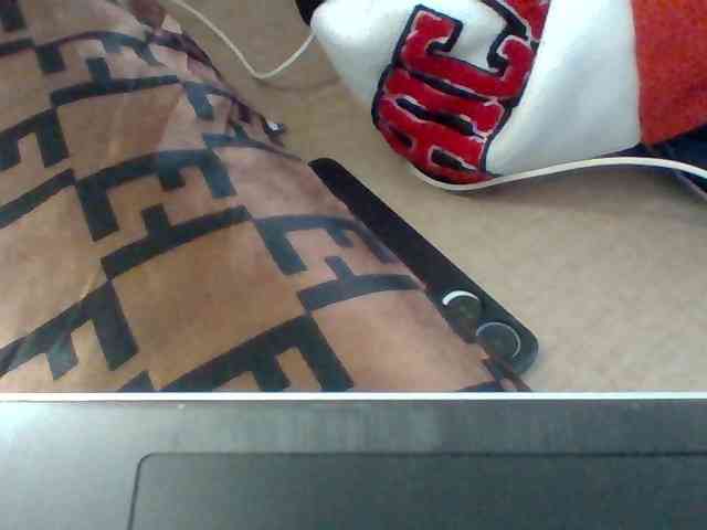 Dollie webcam