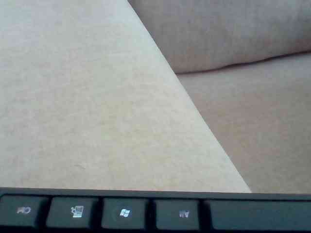 Dollie webcam
