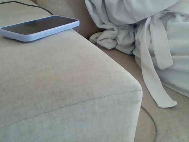 Dollie webcam