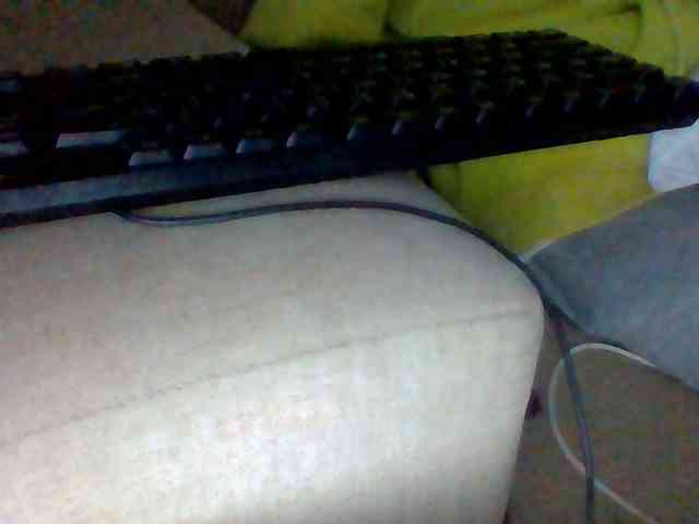 Dollie webcam