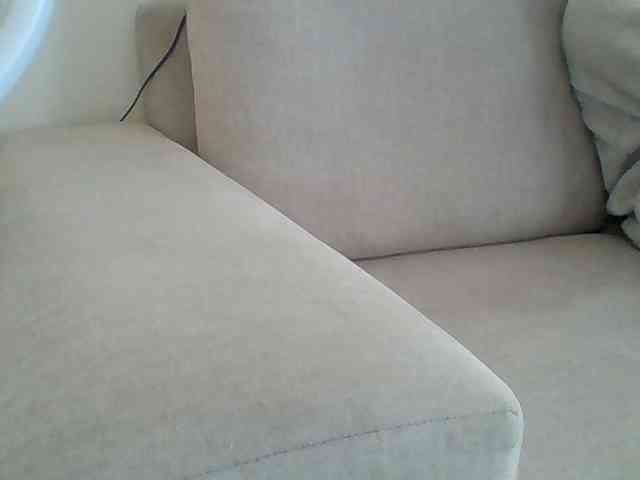 Dollie webcam