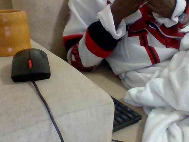 Dollie webcam