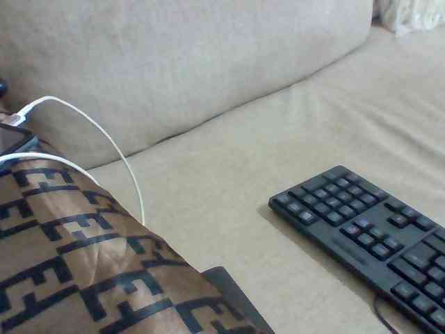 Dollie webcam