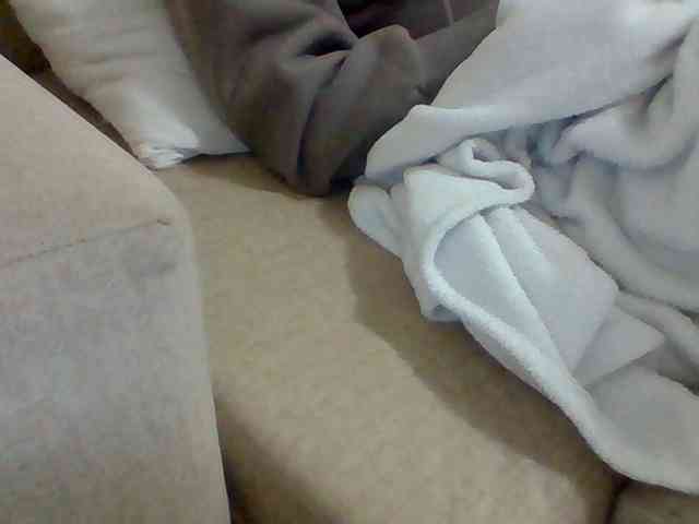 Dollie webcam