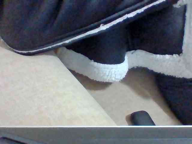 Dollie webcam