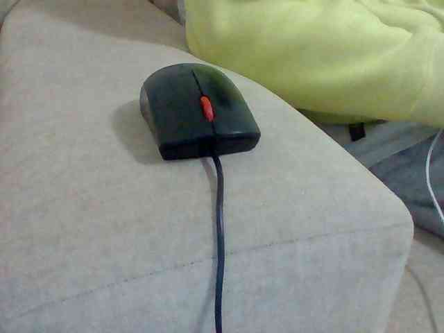 Dollie webcam
