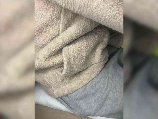 Dollie webcam