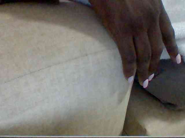Dollie webcam